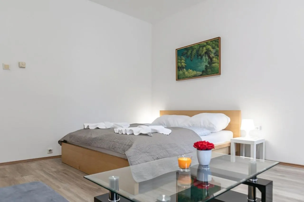 Spacious & Pleasent 2Br Apt. Near Milenium Tower Vienna